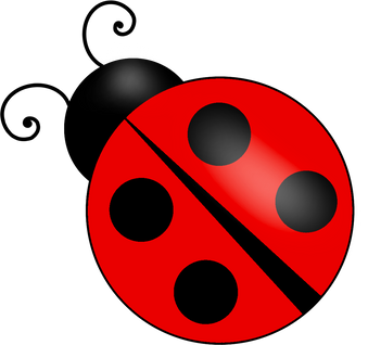 Lady bug